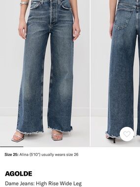 Agolde High-Rise Wide Leg Jeans in Faded Blue Wash